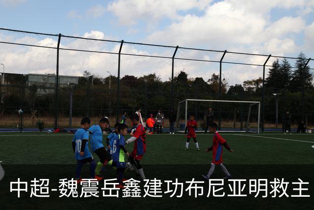 中超-魏震岳鑫建功布尼亚明救主 玉昆4分钟连扳两球2-2海港