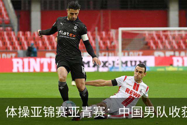 体操亚锦赛亚青赛：中国男队收获6枚金牌