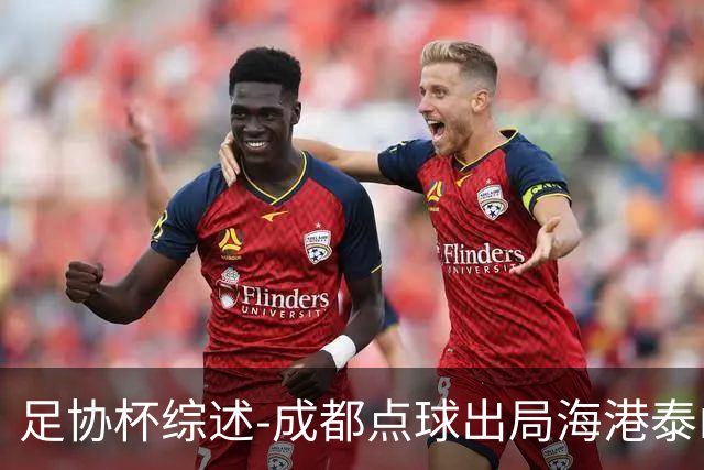 足协杯综述-成都点球出局海港泰山晋级 申花大胜